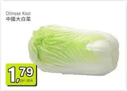 Amazing Oriëntal Chinese Kool 中國大白菜 aanbieding