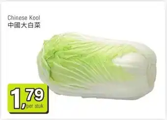 Amazing Oriëntal Chinese Kool 中國大白菜 aanbieding