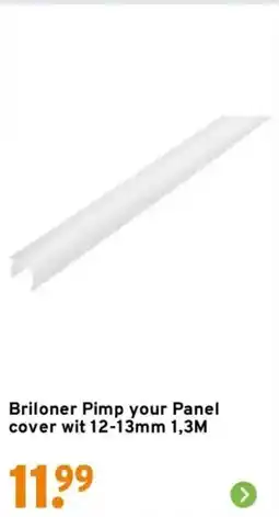 GAMMA Briloner Pimp your Panel cover wit aanbieding