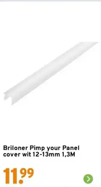 GAMMA Briloner Pimp your Panel cover wit aanbieding