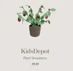 Babypark KidsDepot Plant Strawberry aanbieding