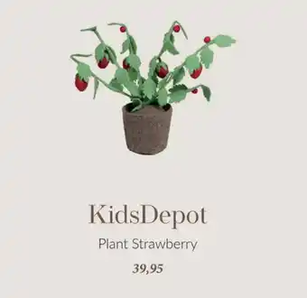 Babypark KidsDepot Plant Strawberry aanbieding