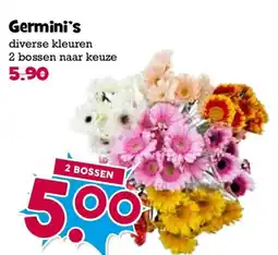 Boon`s Markt Germini's aanbieding