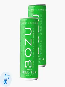 Flink Bozu Hard Iced Tea Green 4,5% 25cl 2x aanbieding