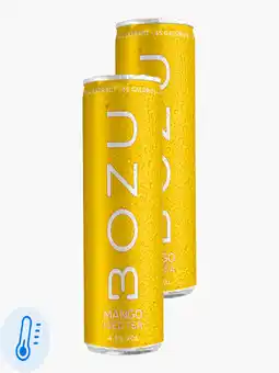 Flink Bozu Hard Iced Tea Mango 4.5% 25cl 2x aanbieding