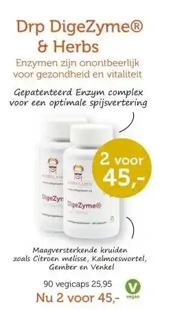 De Rode Pilaren Drp DigeZyme & Herbs aanbieding