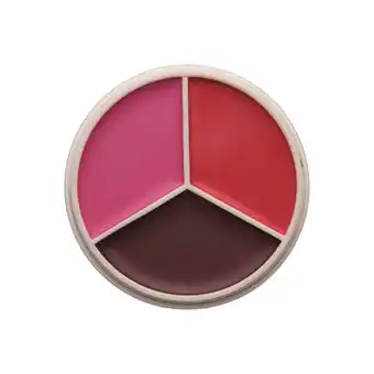 Douglas Anastasia Beverly Hills Magic Touch Blush Trio aanbieding