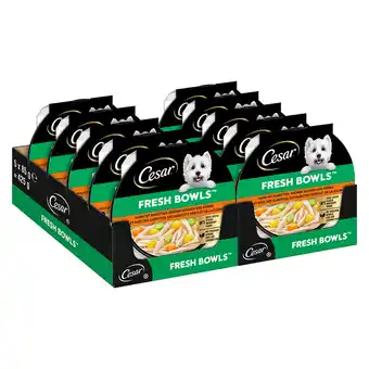 Zooplus 10x85g Cesar Fresh Bowls kip in saus natvoer voor honden aanbieding