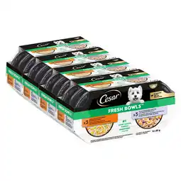 Zooplus 24x85g Cesar Fresh Bowls kip & Eend in saus natvoer voor honden aanbieding