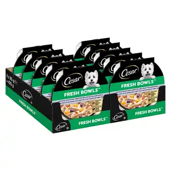 Zooplus 10x85g Cesar Fresh Bowls eend in saus natvoer voor honden aanbieding