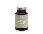 De Online Drogist Mattisson HealthStyle Lion's Mane Extract Capsules 60CP aanbieding