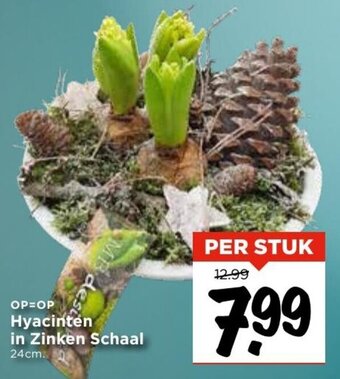 Vomar Voordeelmarkt Hyacinten in Zinken Schaal aanbieding