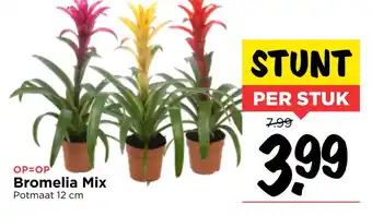 Vomar Voordeelmarkt Bromelia Mix aanbieding