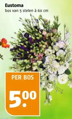 Poiesz Eustoma aanbieding