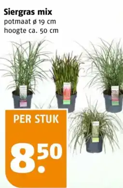 Poiesz Siergras mix aanbieding
