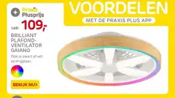 Praxis BRILLIANT PLAFOND- VENTILATOR GAIANO aanbieding