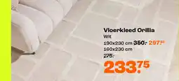 Kwantum Vloerkleed Orillia aanbieding