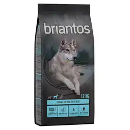 Zooplus 2 x 12 kg Briantos Graanvrij hondenvoer Adult Zalm & Aardappel aanbieding