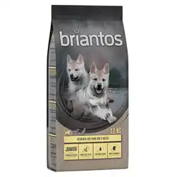 Zooplus 2 x 12 kg Briantos Graanvrij hondenvoer Junior Kip & Aardappel aanbieding