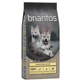 Zooplus 2 x 12 kg Briantos Graanvrij hondenvoer Junior Kip & Aardappel aanbieding