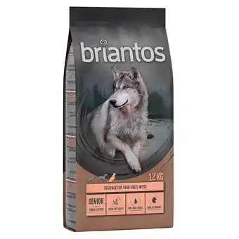 Zooplus 2 x 12 kg Briantos Graanvrij hondenvoer Senior Kalkoen & Aardappel aanbieding