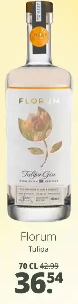 Mitra Florum Tulipa aanbieding