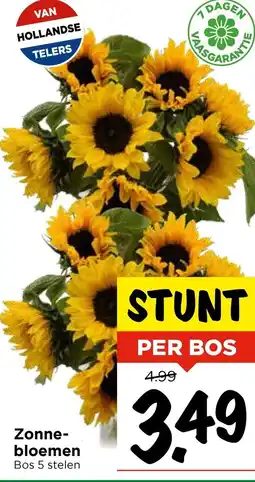 Vomar Voordeelmarkt Zonne bloemen aanbieding