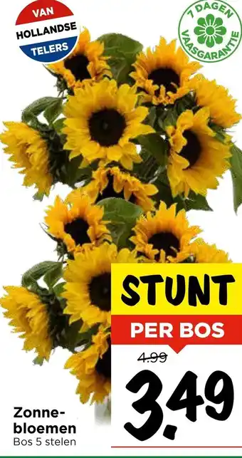 Vomar Voordeelmarkt Zonne bloemen aanbieding