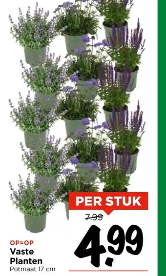 Vomar Voordeelmarkt Vaste Planten aanbieding