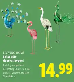 Lidl Livarno home Solar LED decoratievogel aanbieding