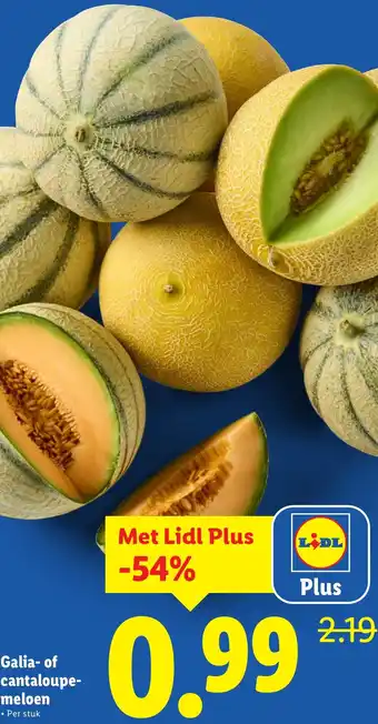 Lidl Galia of cantaloupe meloen aanbieding
