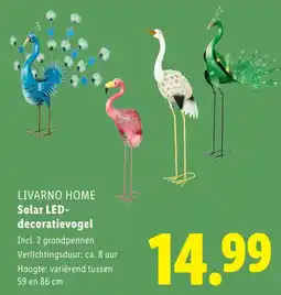 Lidl Livarno home Solar LED decoratievogel aanbieding