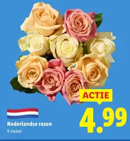 Lidl Nederlandse rozen aanbieding