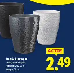 Lidl Trendy bloempot aanbieding