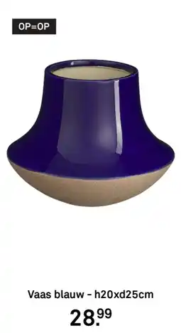 Karwei Vaas blauw aanbieding