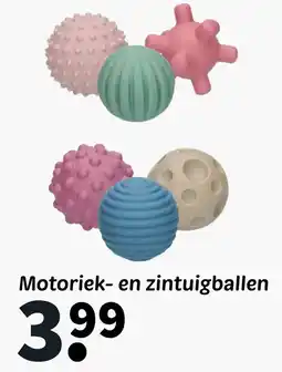 Wibra Motoriek en zintuigballen aanbieding
