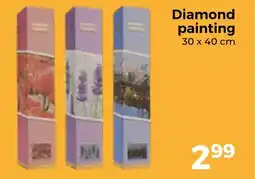 Trekpleister Diamond painting aanbieding