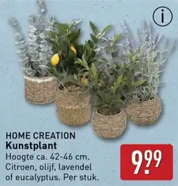 ALDI Home creation kunstplant aanbieding