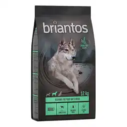 Zooplus 2 x 12 kg Briantos Graanvrij hondenvoer Adult Lam & Aardappel aanbieding