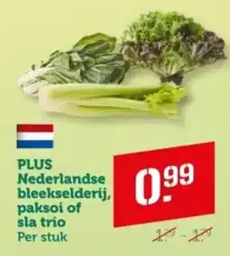 Coop PLUS Nederlandse bleekselderij, paksoi of sla trio aanbieding