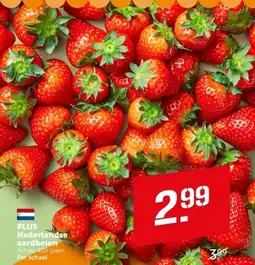 Coop PLUS Nederlandse aardbeien aanbieding