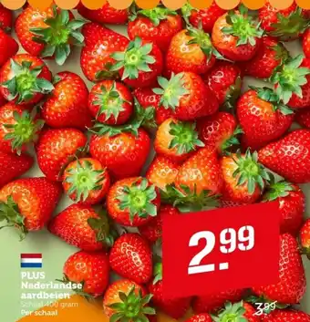 Coop PLUS Nederlandse aardbeien aanbieding