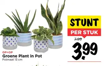 Vomar Voordeelmarkt Groene Plant in Pot aanbieding