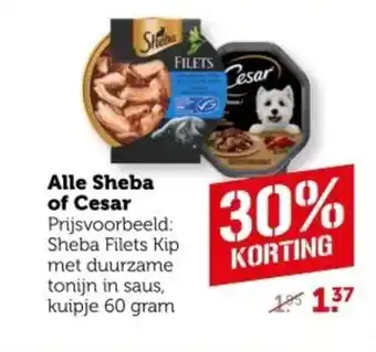 Coop Alle Sheba of Cesar aanbieding