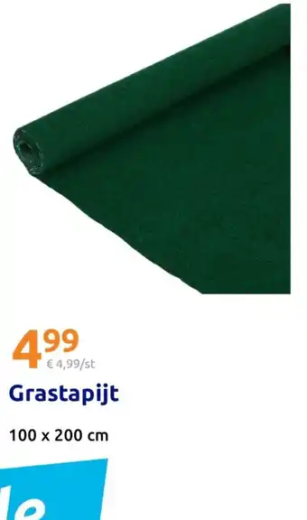 Action Grastapijt aanbieding