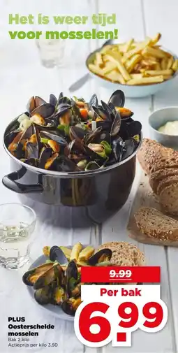 PLUS PLUS Oosterschelde mosselen aanbieding