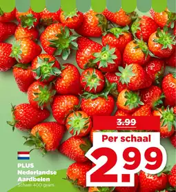 PLUS PLUS Nederlandse Aardbeien aanbieding