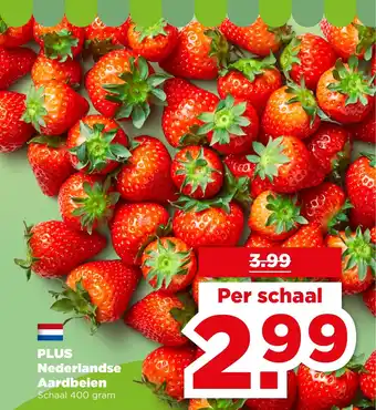 PLUS PLUS Nederlandse Aardbeien aanbieding