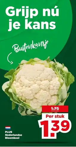 PLUS PLUS Nederlandse Bloemkool aanbieding