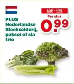 PLUS PLUS Nederlandse Bleekselderij, paksoi of sla trio aanbieding